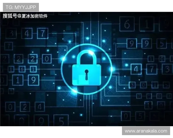 九游官网app安全下载教程，保障你的设备安全与个人信息隐私保护