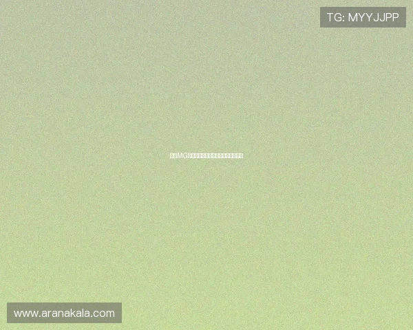 九游MG老虎机新手入门必看技巧与玩法详解